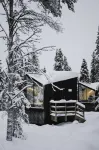 Magical Pond Nature Igloos Hotels near Magical Pond Igloos