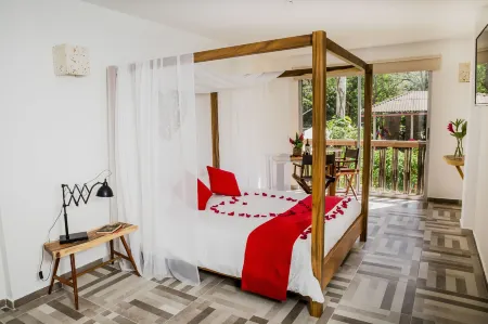 Hotel Restaurante Selva Negra Отели в г. Турбако