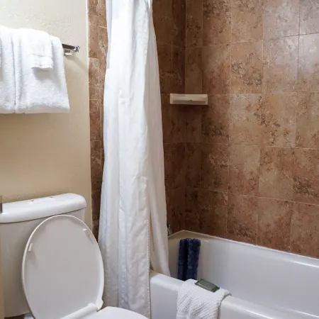 Rosen Inn at Pointe Orlando