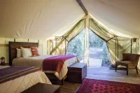 Firelight Camps - Pet-friendly