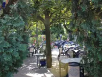 Hotel Central Hotels in Sursee