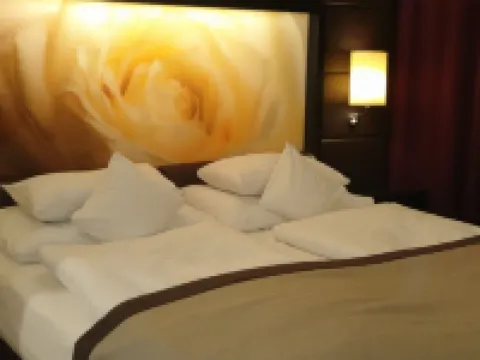 陽光高級套房全景房間