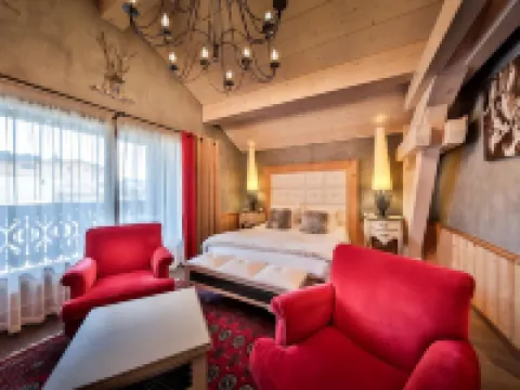 Hôtel Alpina & Spa - Restaurant Oxalis Hotels in Les Gets