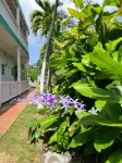 Boundless Bliss Hotel Hotels in Southside