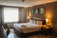 Hilton Garden Inn Boca del Rio, Veracruz Hotels in Boca del Río
