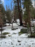 Hidden Pines at Shaver Lake