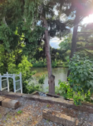 Magnolia River Charming house in fantastic Friendsville with WiFi, AC