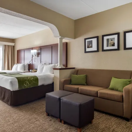 Comfort Suites Woodstock - Atlanta North Отели в г. Вудсток