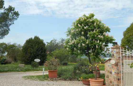 富麗諾尼羅爾塔旅遊公寓酒店