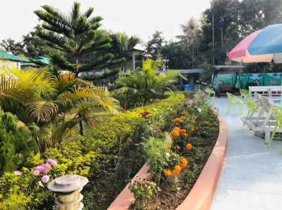 Tea Heaven Resort