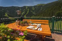Berghotel Jaga-Alm Hotels in Viehhofen