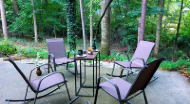 Cozy 2Br Retreat • Near Lake Lanier & Mall of GA • Private, Peaceful, Festive