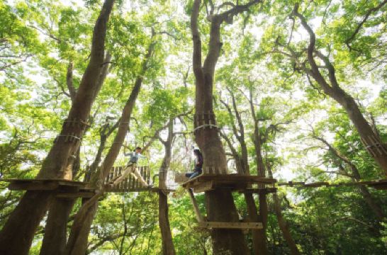 ホテル周辺 星野リゾート リゾナーレ熱海の写真