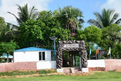 Daaven's Island Resort - Apartments