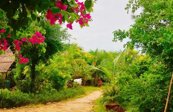 向海酒店及度假村