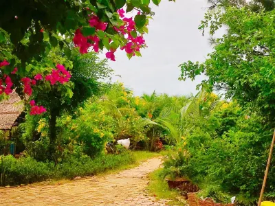 Oceanward Hotel & Resort Hotels in Lang Phuoc Hai