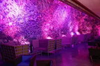 Renaissance Caracas la Castellana Hotel - 바