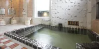 Seikiro Ryokan Historical Museum Hotel