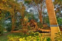 Celebrity Resort Hotels near Leo Splash