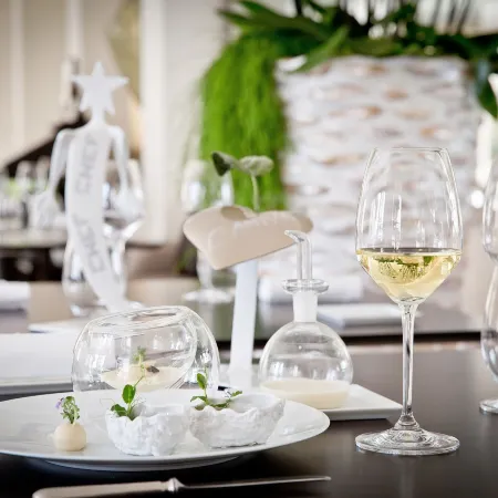 Hotel Cap Estel