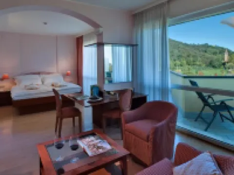 Hotel Terme Leonardo Hotels in Teolo