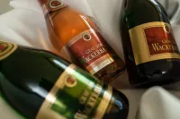 rugs Hotel am Schlosspark Lichtenwalde - bar