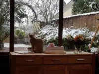 Les Insolites de la Pouillyzotte Hotels in Mesves-sur-Loire