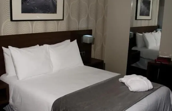 阿爾凱馬城中心酒店