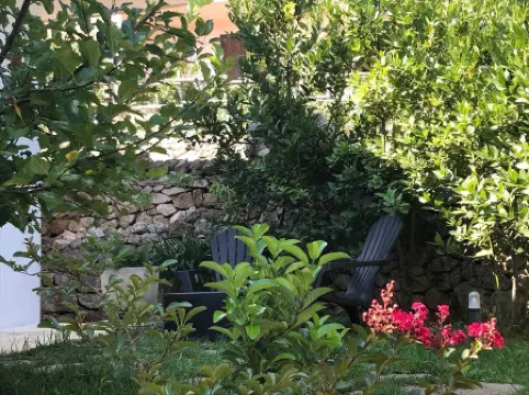 Dependance tra gli ulivi