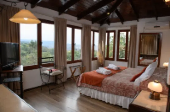 Hotel Selva Montana Hotels in 