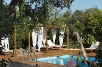 Guesthouse le Mas de Cotignac - piscina