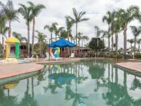The Black Dolphin Holiday Park - en bord de mer