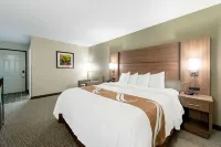 Quality Inn Mishawaka - South Bend