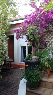 Cielito Lindo