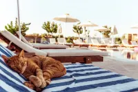 Sails on Kos Ecolux Tented Village - Pools