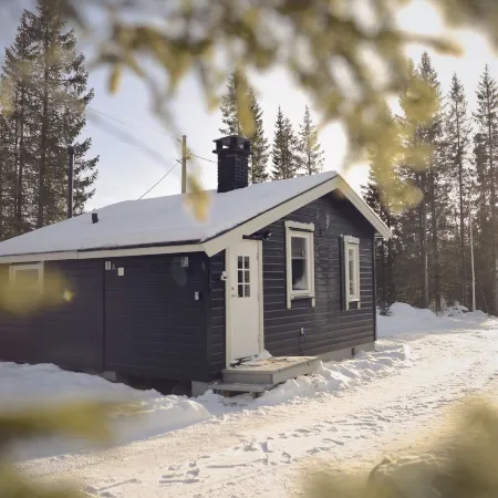 Koselig Hytte I Hemsedal