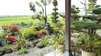 Guest House Nakamura House Hotels in Okawa