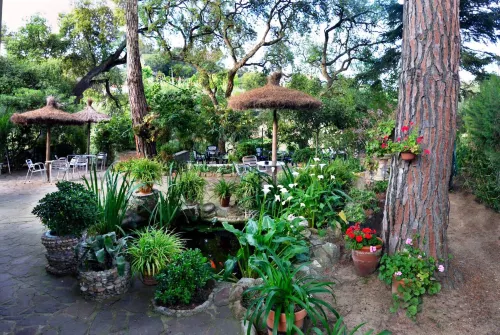 Hostal Magnolia - Pet-friendly