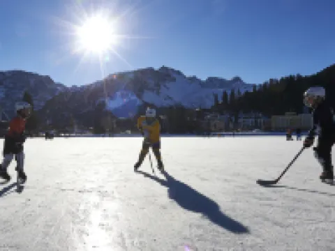 Home Hotel Arosa Hotels in Arosa