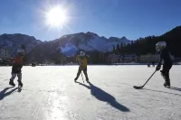 Home Hotel Arosa Hotels in Arosa