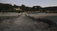 Baia Paraelios Resort - Beach