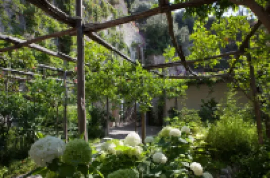 โรงแรมปูเปตโต