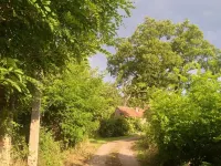 La Tour Hôtels à : Charolles