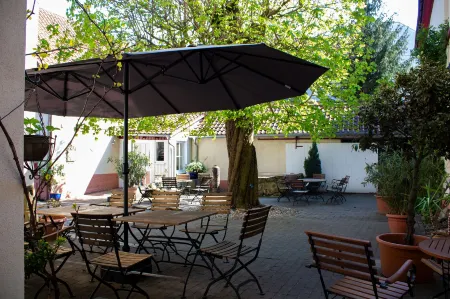 Hotel Herberge Zur Traube Отели в г. Бад Вимпфен