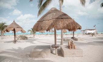 Blue Holbox Beach Front