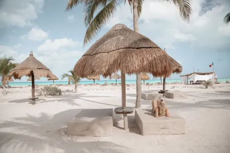 Blue Holbox Beach Front Отели рядом с достопримечательностью «Columpios Casa Punta Cocos»
