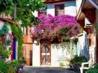 Hotel Cesmeli Hotels near Bursa Grand Bazaar