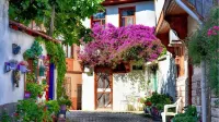 Hotel Cesmeli Отели в г. Бурса