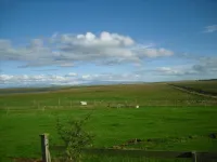 1A Guesthouse Hotels in Selfoss
