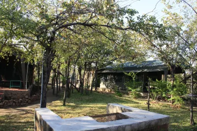 Warthogs Safari Camp